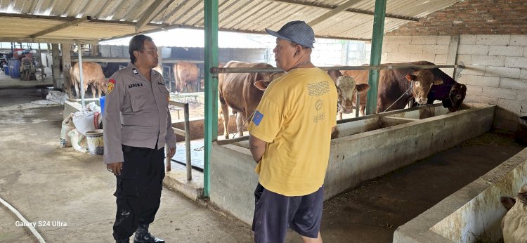 POLRESTA SIDOARJO | Bhabinkamtibmas Desa Karangtanjung Polsek Candi Silaturahmi Peternak Sapi Dukung Ketahanan Pangan